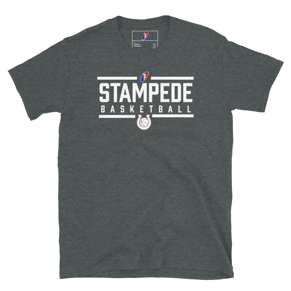 Stampede Basketball