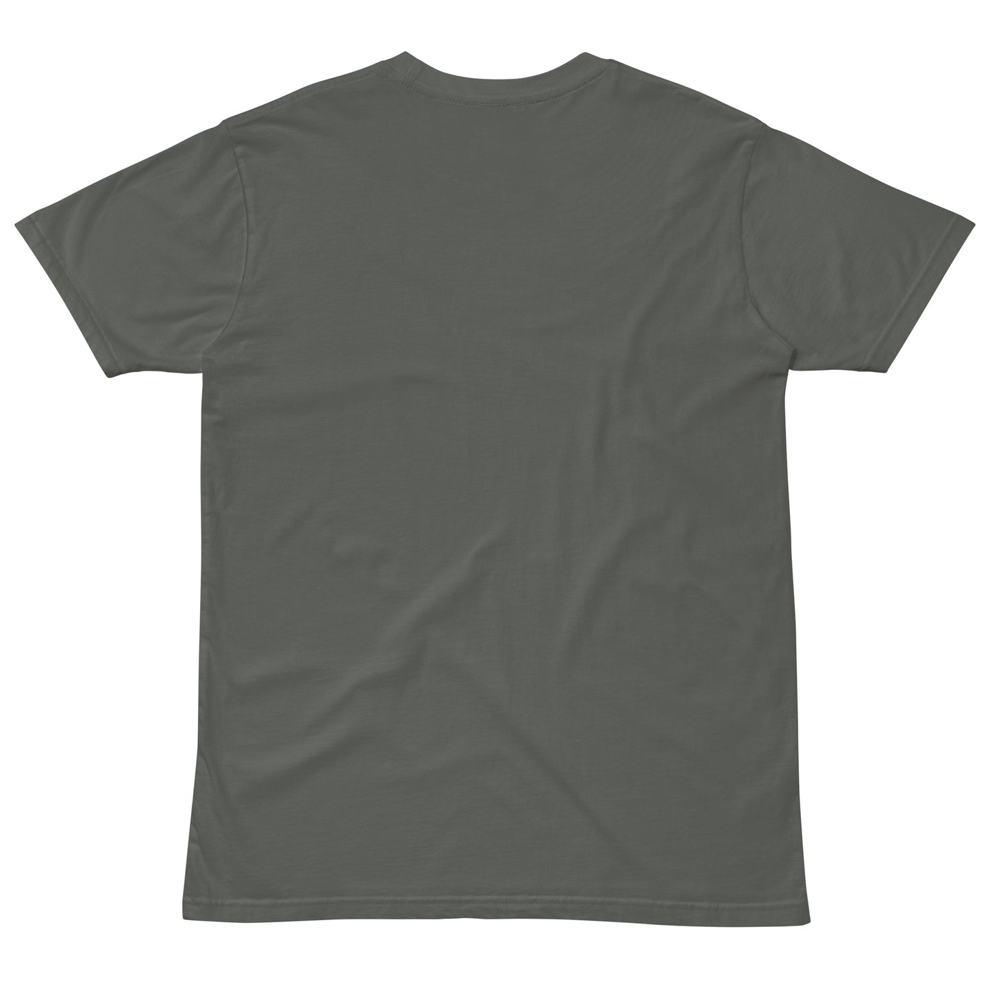 NEW Unisex premium t-shirt